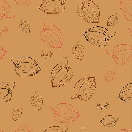 color pattern with fruits Physalisのイラスト素材