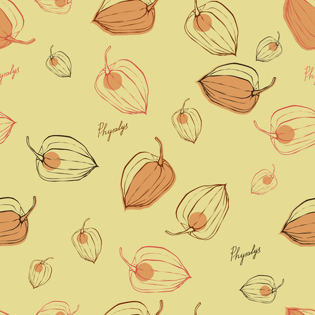 color vector pattern with fruits Physalisのイラスト素材