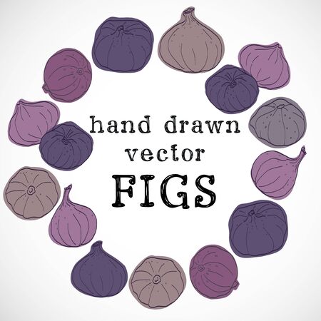 Set of hand drawn sketchy figs. Circle with place for the text made of bright colorful figs. Hand drawn theme party invitation or recipe book illustration.のイラスト素材