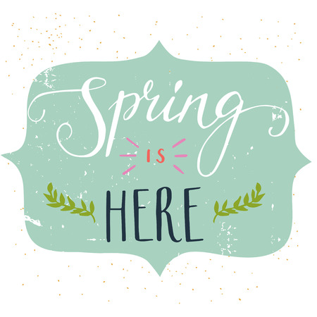 'Spring is here' lettering with decorative elements isolated on white background. Funny typographic design card.のイラスト素材