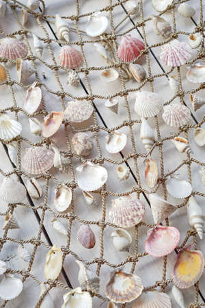 Mixed marine sea shells in fishing net at wallの写真素材