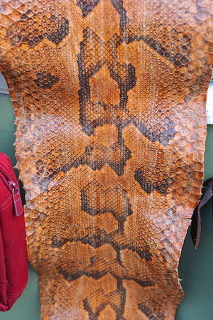 Real snake skin brown leather