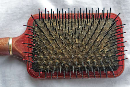 Old used hairbrush with lot of hairの写真素材