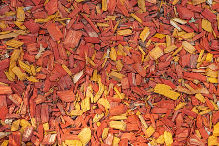 Red colored bark wood chips background decorの写真素材