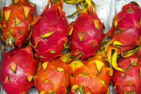 Pitaya red dragon exotic tropical fruit in crateの写真素材
