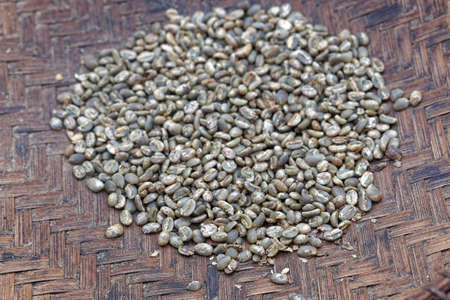 Bunch of green raw coffee beans at tray