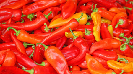 Bright red hot chili peppers at farmers market