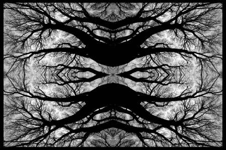 Collage - black and white abstractionの写真素材