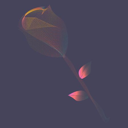Modern vector illustration of a rose made in a fluorescent or neon light colours. The flower made in a psychedelic club style. Great as dynamic background.の写真素材