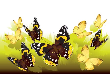 Yellow and brown butterflies fly out of the grass.のイラスト素材