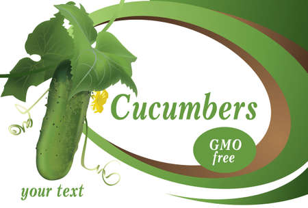 Beautiful twig with cucumber and leaves on an abstract white background with green and brown ovals and free space.Vectorのイラスト素材