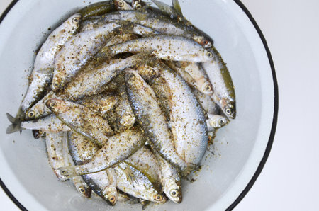 Many small, raw fish sprinkled with ground pepper and salt in a blue plate. Top view of the fish in the plate. Imageの写真素材