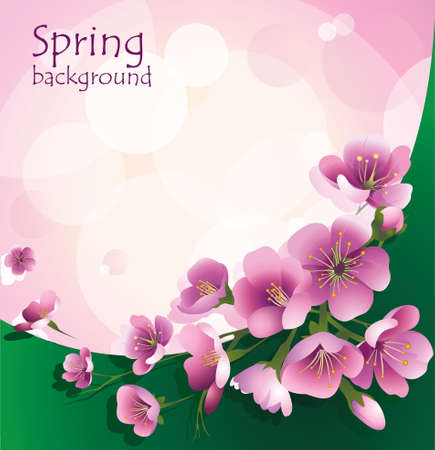 Spring pink flowers on green with pink background. Design for the spring season, wedding invitation, discount coupon and free space for text. Vector.のイラスト素材