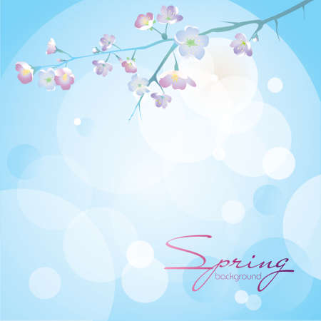 A branch of cherry blossoms on a blue with a white background. Design for the spring season, wedding invitation, discount coupon and free space for text. Vector.のイラスト素材