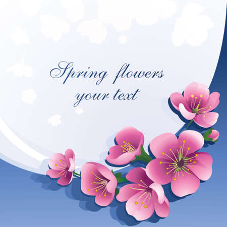 Spring pink flowers on white with blue background. Design for the spring season, wedding invitation, discount coupon and free space for text. Vector.のイラスト素材