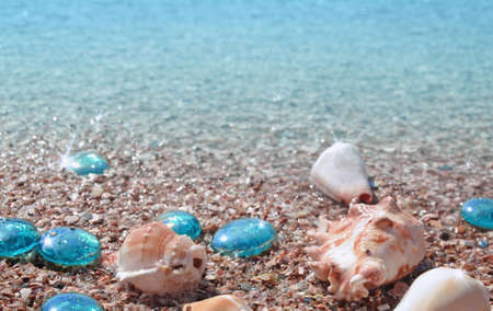 Summer background with transparent sea water and seashells on wet sand, recreation, travel, nature. Free space for text. Imageの写真素材