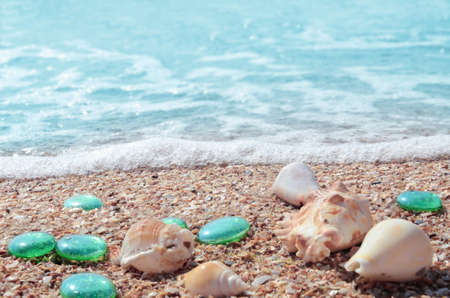 Background with beautiful large seashells, glass pebbles on wet sand and light blue sea water. Image
