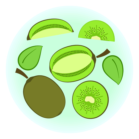 Flat vector ripe green kiwi set - fruit split in a half along and across, quarter, circle without rind sliced on half. Cute colorful summer fruitのイラスト素材