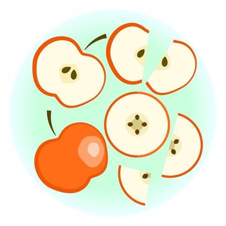 Flat vector ripe red apple set - fruit split in a half along and across, quarter, circle with rind sliced on half and quarter wedge. Cute colorful summer fruitのイラスト素材
