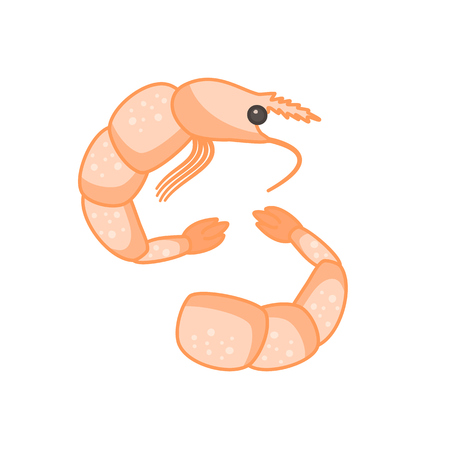Flat colorful vector alive and prepared shrimp icon. Isolated prawn symbol for seafood asian and menu design, banner, advertisement, packaging, coverのイラスト素材