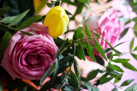 Floral background with pink roses and yellow tulip. Tender flowers with green leaves bouquet for mothers day, spring decoration element, lovely wallpaperの写真素材