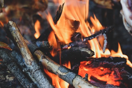 Closeup of bright fireplace with logs and branches. Warm fire with burning tree parts ready for...