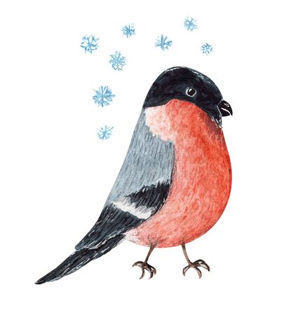Cute red and black watercolor Christmas bullfinch bird. Cartoon painting winter robin and snowflakes for New Year greeting card design, sticker, banner decorの写真素材