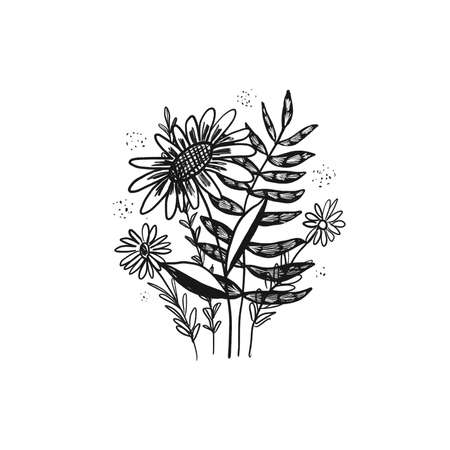 Cute sketch hand drawn flower bouquet illustrationの写真素材