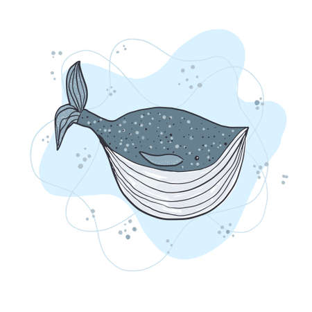 Cute sketch hand drawn color whale illustrationのイラスト素材