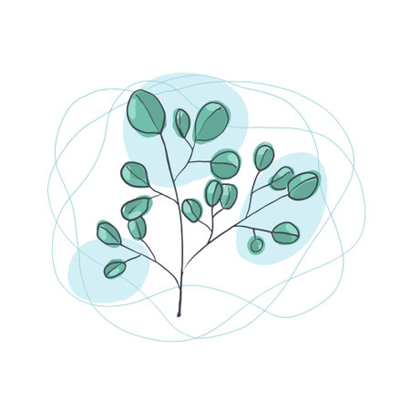 Vector tropical eucalyptus branch with delicate green color leaves. Trendy exotic plant illustration for pattern design, greeting cards and invitation decor, banners, backgroundsのイラスト素材