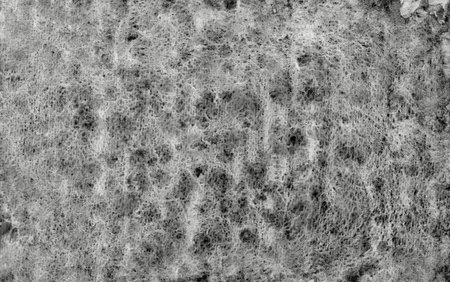 Abstract expressive textured black and gray ink or watercolor background. Monochrome gradient dotted and granulated watercolor stain for texture, banner design, storm weather conceptの写真素材