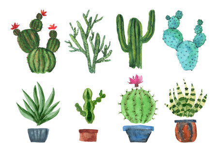 Set of cute sketch watercolor green and blue cactus with different pots. Bright striped and dotted watercolour succulents and cacti for stickers, home decor, nature banner designの写真素材