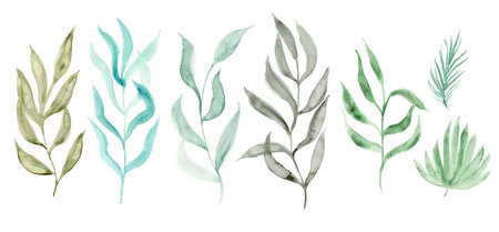 Set of delicate watercolor green, blue and gray leaves and branches. Watercolour botanical elements for textile design, patterns, poster, wedding decorの写真素材