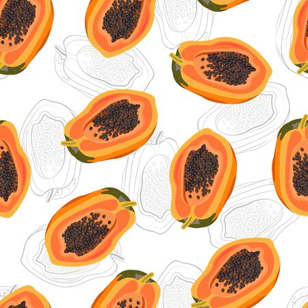 Papaya fruits seamless pattern on white background with sketch drawing, Fresh organic food, Tropical fruit vector illustration.のイラスト素材