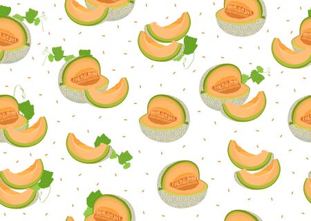 Melon slice seamless pattern on white background with seed, Fresh cantaloupe melon pattern background, Fruit vector illustration.のイラスト素材