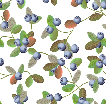 blueberries patternのイラスト素材
