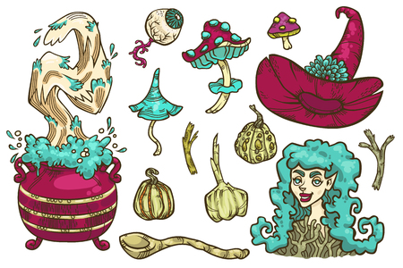 Vector hand drawn set of magic objects and young witch. Cartoon ingredients for making magic potion with boiling pot. A crooked pointed hat with a big flower.のイラスト素材