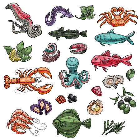Big vector seafood set. Collection of isolated menu items for restaurants including tuna, crab, oyster, hake, octopus, shrimp etc.のイラスト素材