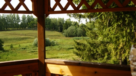 summerの写真素材