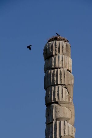 Ephesus (EFES), TURKEY â SEPTEMBER 8, 2016-The remains of Temple of Artemis (Artemision) as well known as the Temple of Diana was a Greek temple dedicated to  the goddess Artemis, situated in Ephesus, Turkey. Today, on the surviving column, a pair of biのeditorial素材