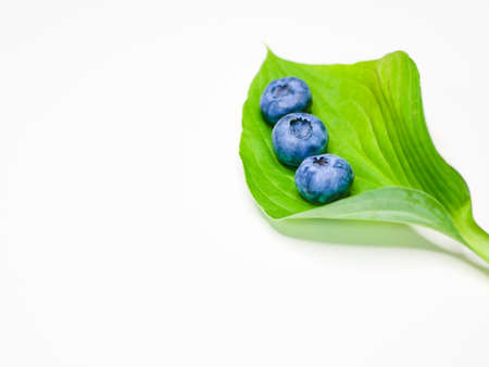 Blueberries on a large green leaf isolated on white.の写真素材