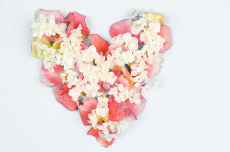 Heart of petals isolated on white.の写真素材
