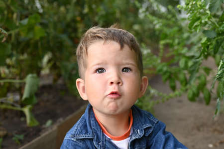 Portrait of a puzzled toddler boy against of green foliage background.