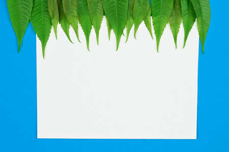 Green leaf ornament with blank card on blue table.