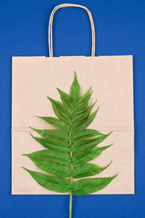 Craft paper bag with green leaves. Zero waste shopping concept.