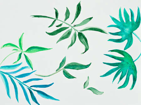 Different watercolor tropical leaves on white background.の写真素材