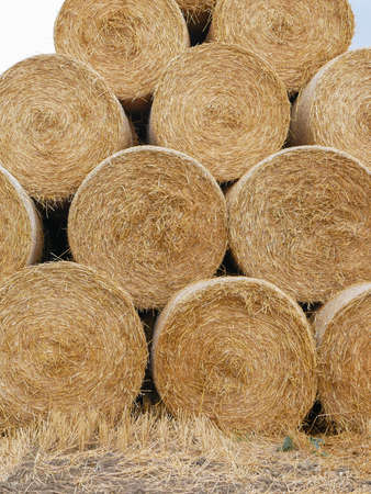 Harvested field with straw bales.の写真素材