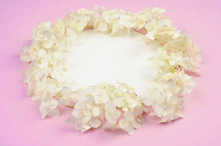White petals frame on pink table. Side viewの写真素材