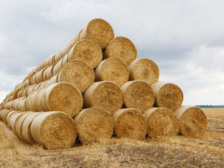 Harvested field with straw bales.の写真素材