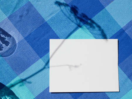 White empty blank card mockup with floral shadows.の写真素材